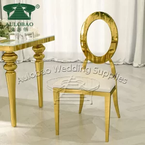 Luxury Stainless Steel Chair