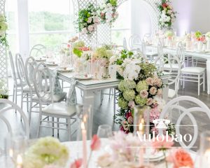 Resin Chiavari Chairs